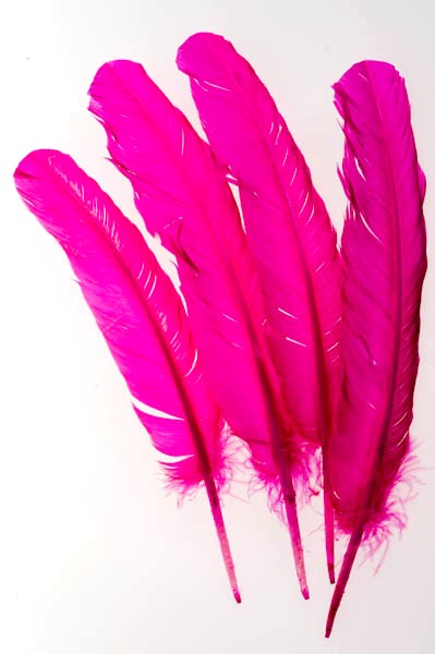 Oie - 25-30 cm - fuchsia
